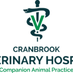 Cranbrook Veterinary Hospital
