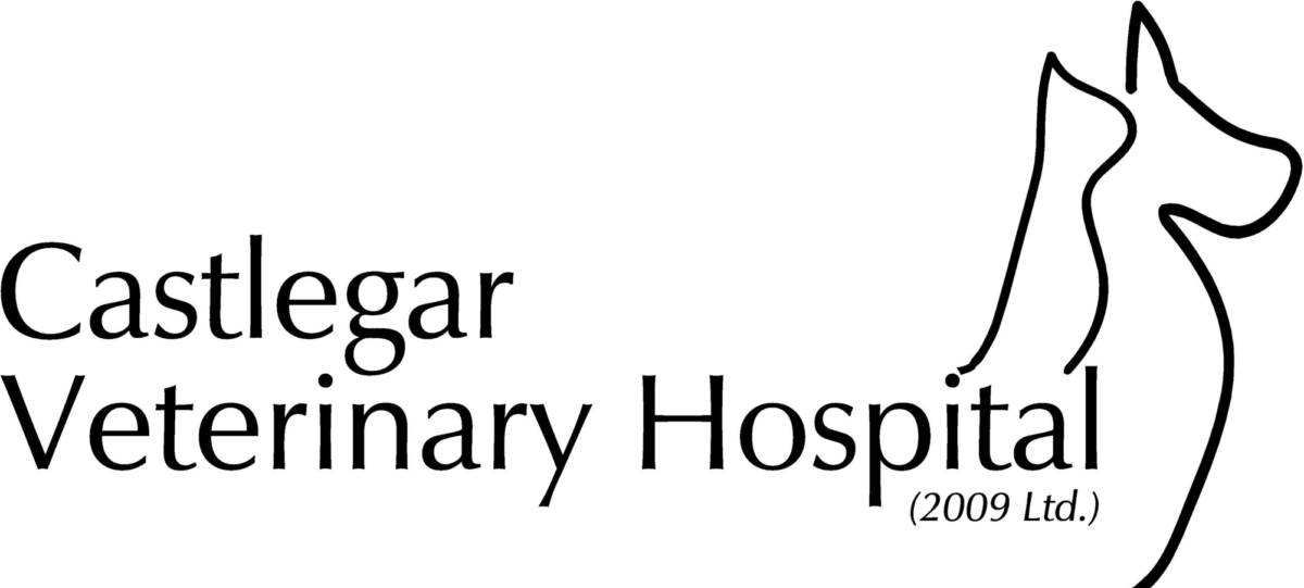 RVT Amazing opportunity! Alberta Veterinary Technologist Association