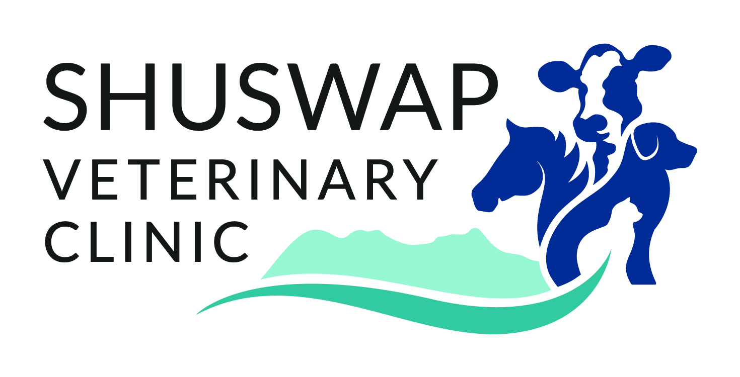 Registered Vet Tech Alberta Veterinary Technologist Association