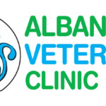 Albany Veterinary Clinic