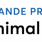 Grande Prairie Animal Hospital