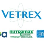 Vetrex Group Inc.