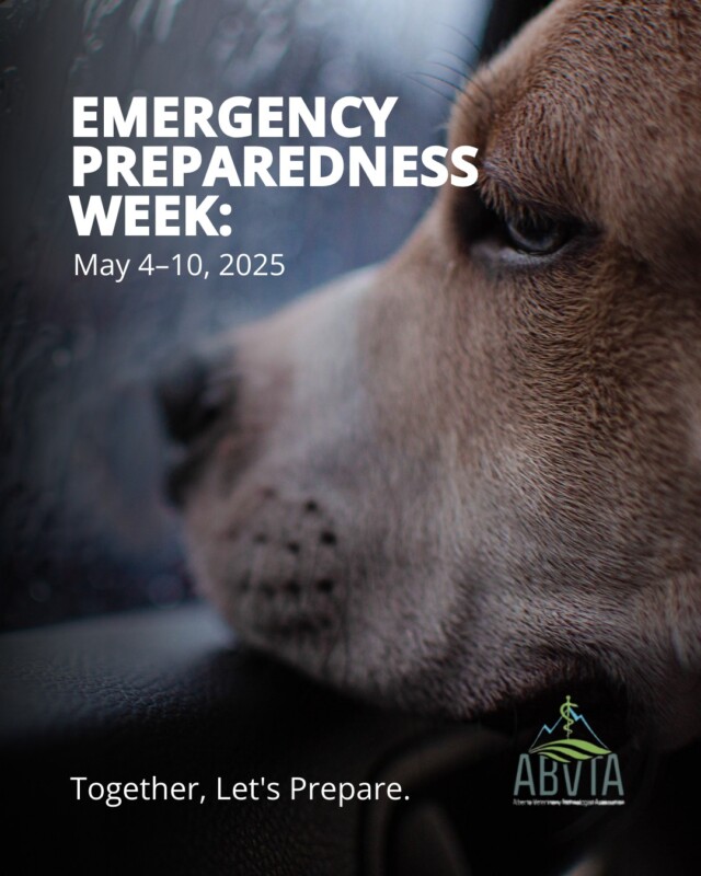 🚨 Emergencies can happen anytime. Make sure you, your clinic, and your pets are ready. Learn the risks in your area, make a plan, and build an emergency kit. Together, let’s prepare. 

🔗 Visit getprepared.gc.ca by tapping the link in our bio to get started.