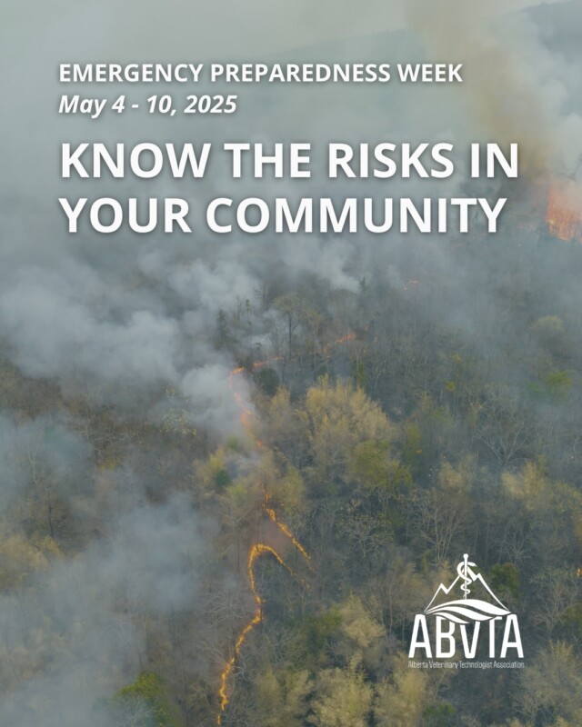 🚨 This year’s Emergency Preparedness Week theme is “Be prepared. Know your risks.” 

Being aware of the risks in your community, such as wildfires, extreme temperatures, floods, and tornados, help build resilience for yourself, your patients, and the profession. 💪🐾

🔗 Tap the link in our bio for information on how to prepare for different hazards, courtesy of the Government of Alberta.