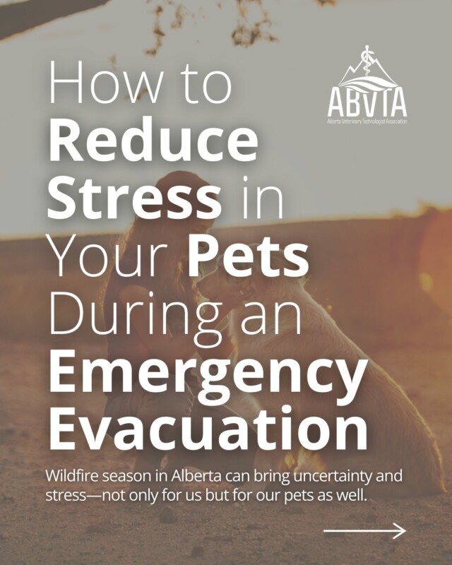 🔥🐾 Wildfire season in Alberta can bring uncertainty and stress, not only for us but for our pets as well. With a bit of preparation you can help reduce stress for your pets during an emergency evacuation. Swipe to learn more.