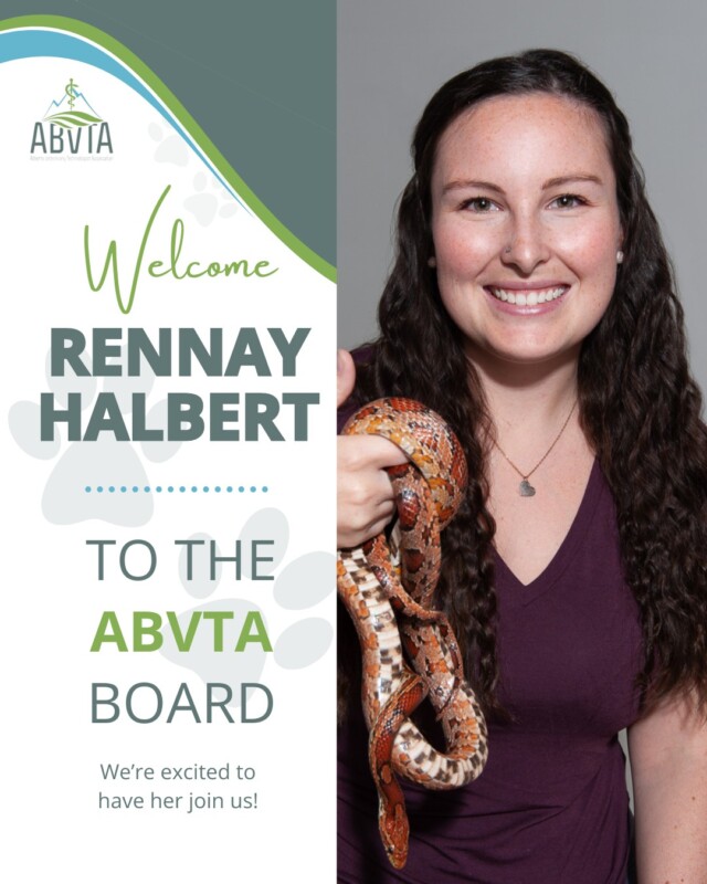 We are thrilled to introduce Rennay Halbert as a new member of the ABVTA Board of Directors! 🎉

Rennay Halbert graduated from NAIT’s Animal Health Technology program in 2017 and has since dedicated herself to exotic animal medicine. She thrives on the challenge of working with a wide variety of species, from rabbits to reptiles, and constantly seeks to expand her skills to ensure every animal receives the highest standard of care, regardless of size.

Rennay joined the ABVTA Board of Directors to contribute to the growth and recognition of the RVT profession within veterinary medicine. She strongly connects with the association’s mission and vision and is passionate about empowering RVTs to fully realize their potential, advocate for their roles, and foster a safe and supportive environment within the profession. Outside of her work, Rennay enjoys traveling, playing soccer, and dedicating time to self-care. 

We’re excited to welcome Rennay to the ABVTA Board! 🌟 Her passion and expertise will be a great addition, and we can’t wait to see the impact she’ll make. Join us in welcoming her by commenting below! 🎊