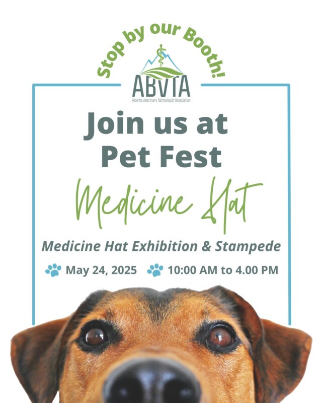 🎉Cypress View Veterinary Clinic is bringing Pet Fest back to Medicine Hat, and we’ll be there!

Stop by the ABVTA booth to learn more about the vital role RVTs play in animal health, explore helpful resources, and take part in fun interactive activities. We’ll also have giveaways you won’t want to miss!

🐾 Admission is FREE, so bring the whole family and come say hi!

@cypressviewvet
@PetFestMH