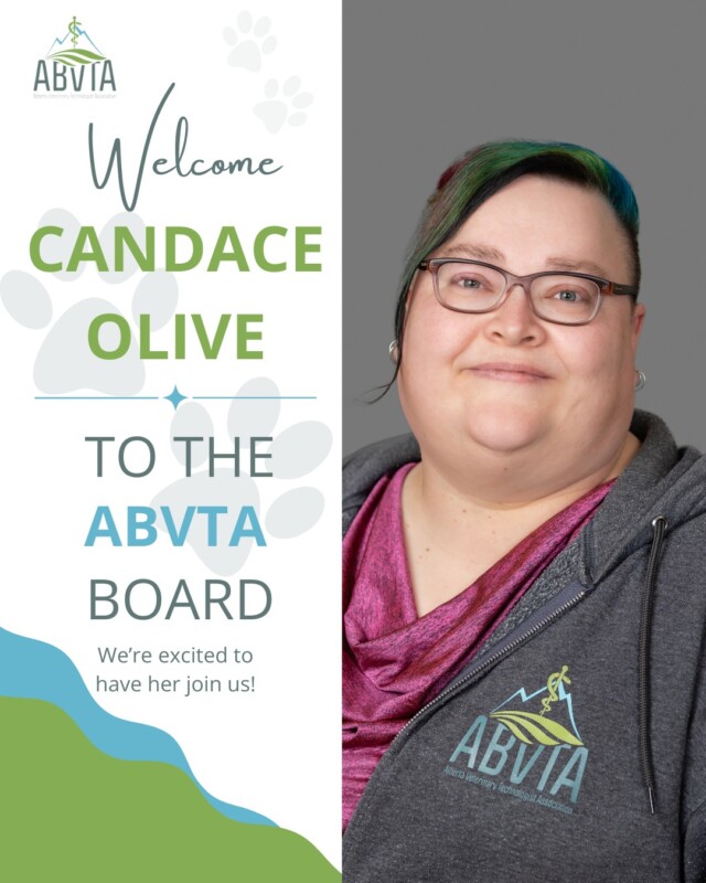 We are thrilled to announce that Candace Olive has been re-elected to a second term with the ABVTA Board of Directors! 🎉

A natural leader, Candace is always ready to offer thoughtful perspectives while remaining grounded and approachable. Despite managing a demanding schedule that includes pursuing further education at the University of Calgary, Candace remains steadfast in her commitment to the board’s vision for the future of veterinary technologists. 

Her ability to balance the pressures of academics and professional responsibilities showcases her remarkable time-management skills and passion for advancing the field. Always willing to take on new challenges, Candace continues to contribute meaningfully to discussions, ensuring that the board stays on course to shape the future of veterinary technology with compassion, innovation, and integrity.

We’re thrilled to have Candace continue to contribute her expertise to the ABVTA and veterinary community! Drop a comment below to give her a warm welcome! 🎊👇