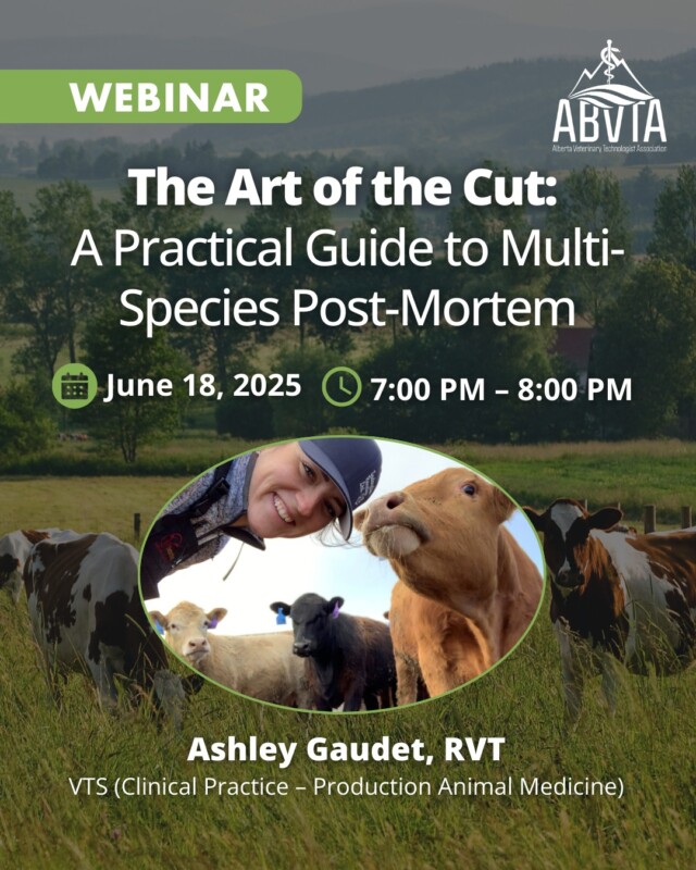 🗓️ Build practical skills and confidence in performing post-mortem examinations! This interactive session goes beyond exploring why post-mortem examinations are important. Explore key techniques, discover helpful tips and tricks, and strengthen your ability to contribute meaningful findings that support case investigations and elevate your role within the veterinary team.

🔗 Tap the link in our bio to register now!