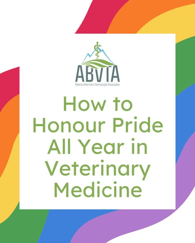 Veterinary teams have the power to make inclusivity a priority all year long! Flying the Progress Pride Flag, wearing pronoun pins, donating to 2SLGBTQIA+ organizations, and sharing resources are all impactful ways to create inclusive spaces every day. Let’s make every month a celebration of diversity and respect! #HappyPrideMonth2025🌈💙