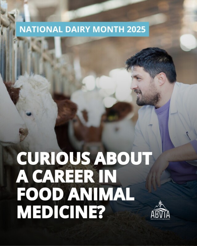 Curious about a career in food animal medicine?

Alberta colleges offer courses in specialized areas of large animal medicine. Availability and registration timelines may change, so it’s a good idea to connect with the colleges directly for details.

📍 @northwestern_polytechnic
Artificial Insemination for Cattle

📍 @oldscollege
Cattle Artificial Insemination

📍 @lakelandcollege
Artificial Insemination for Cattle
Calving Workshop
Dairy Hoof Trimming

📚 For a comprehensive list of continuing professional development (CPD) opportunities, visit our website by tapping the link in our bio.